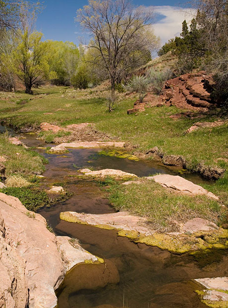 SanPedroCreek_Estates