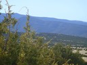 SanPedroCreekEstates