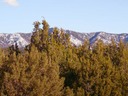 San Pedro Creek Lot32 Phase II Monte Largo Mountains