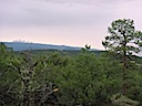 San Pedro Overlook Lot 21 Sandia Mountains Ponderosa Pine