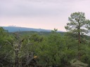 San Pedro Overlook Lot 21 Sandia Mountains Ponderosa Pine