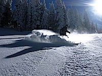 Skiing-NM